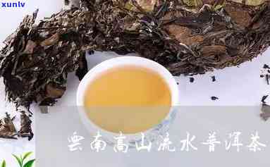 高山流水茶叶怎么样-高山流水茶叶价格