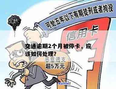 交通逾期两个月怎么办？罚款、停卡风险及解决  全解析