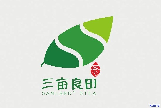 三亩良田茶叶怎么样-三亩良田茶叶怎么样啊