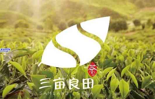 三亩良田茶叶怎么样-三亩良田茶叶怎么样啊