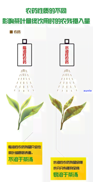 茶叶的农药残留芯片：有还是安全？该如何去除茶叶中的农药残留？