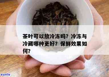 茶叶冷冻好还是冷藏好？绿茶保存 *** 解析