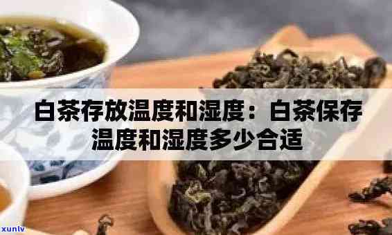 茶叶的贮藏度湿度，影响茶叶品质的关键因素：贮藏度和湿度的掌控