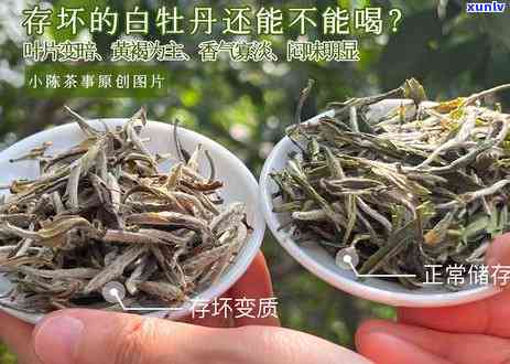 茶叶在度为摄氏多少度的环境下容易变质，茶叶的存度：避免变质的秘诀