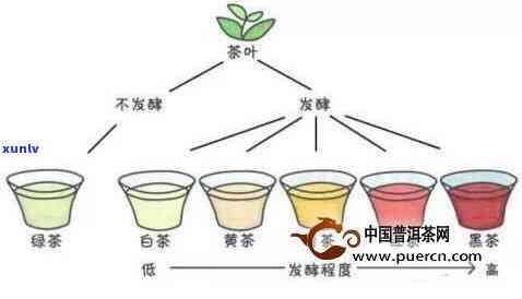 茶叶几大类发酵程度-茶叶几大类发酵程度更高