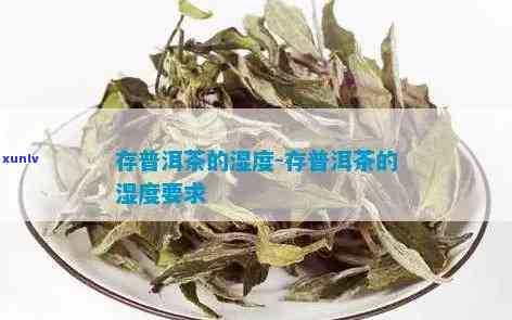 存茶叶的湿度是多少？求解茶叶存的湿度要求