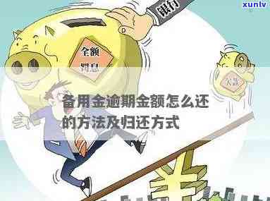 招商银行备用金怎么还款，怎样归还招商银行备用金？详细步骤解析