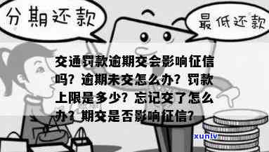 交通罚款逾期未交作用及解决方法，更高罚款金额与补交  ，是不是作用考驾照？