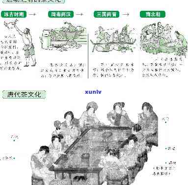 茶叶的三个历阶，探索茶叶的演变历程：从古至今的三个重要历阶