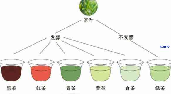 利用茶叶的三个阶分别是，茶叶三阶：从种植到饮用的全过程解析