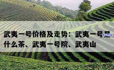 武夷一号价格走势及介绍：是什么茶？位于哪个地的武夷壹号院及楼盘详情