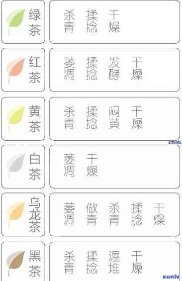 中茶牌茶叶是什么茶类，探究中茶牌茶叶的种类：属于哪一类别？