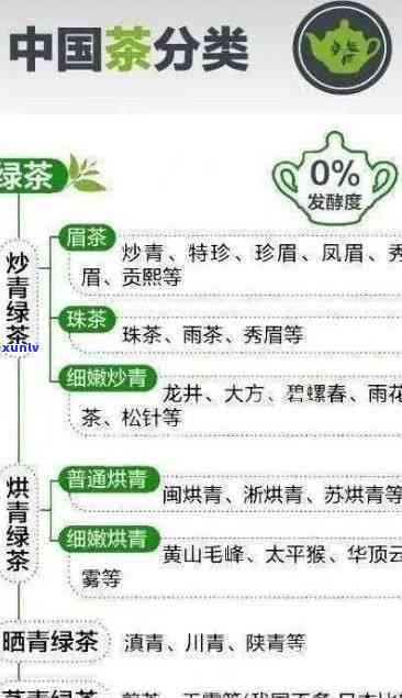 中茶牌茶叶是什么茶类，探究中茶牌茶叶的种类：属于哪一类别？