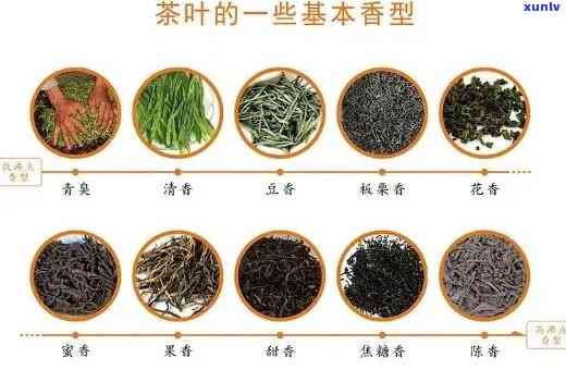 中茶牌茶叶是什么茶类，探究中茶牌茶叶的种类：属于哪一类别？