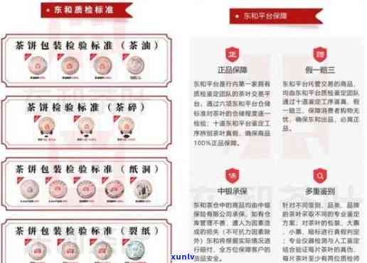 东和茶官网每日价格：最新中茶报价及茶叶网下载