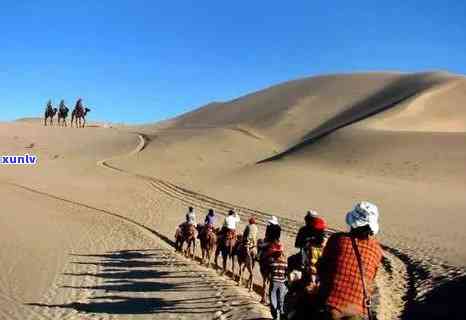 敦煌茶叶，探索神秘的敦煌：揭秘其独特茶叶的魅力