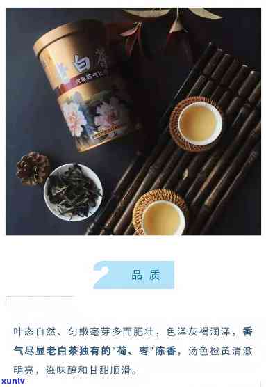 中粮蝴蝶牌白茶5150，品味健生活：尝试中粮蝴蝶牌白茶5150！