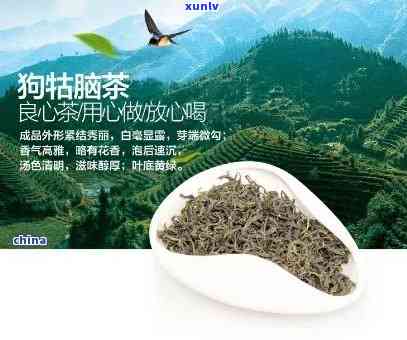 江西狗牯脑茶属于什么茶？价格、来历全解析