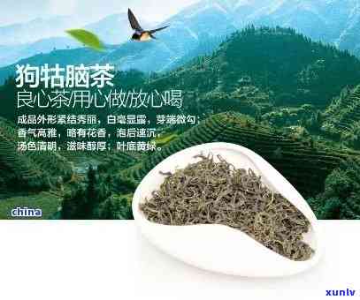 江西狗牯脑茶叶价格-江西狗牯脑茶叶多少钱一斤