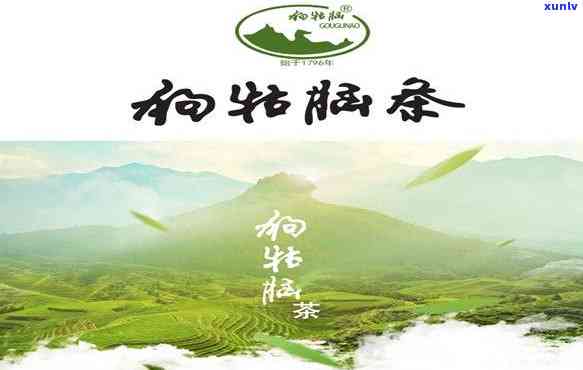 江西狗牯脑茶叶价格-江西狗牯脑茶叶多少钱一斤