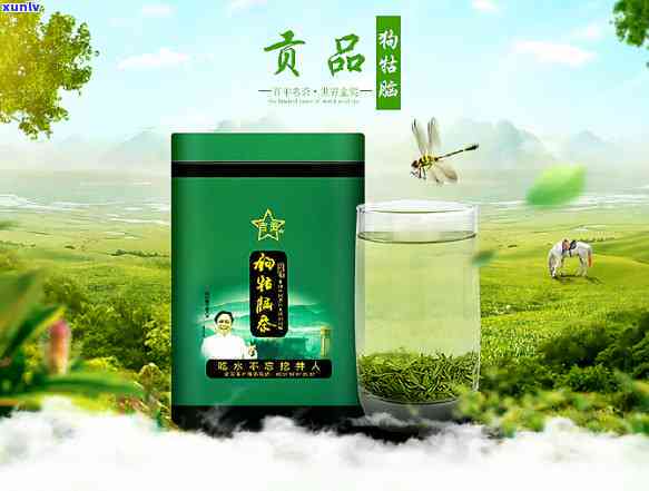 狗牯脑茶叶是什么茶-狗牯脑茶叶属于什么茶