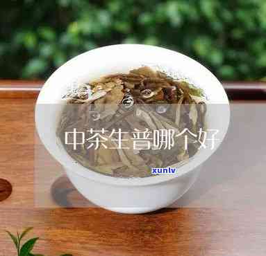 中茶哪个系列生茶好-中茶哪个系列生茶好喝