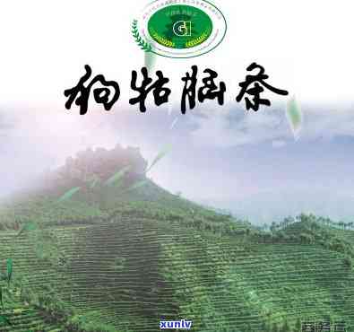 遂川狗牯脑茶叶图片-遂川狗牯脑茶叶图片 *** 手机号