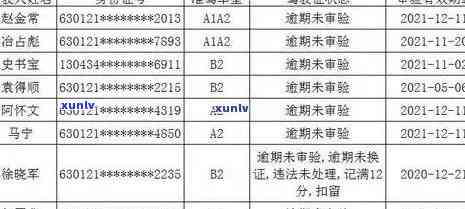 新益号老班章龙珠茶品质和价格解析，古树龙珠特色与口感评价。