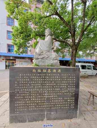 江西遂川狗牯脑茶叶-江西遂川狗牯脑茶叶多少钱一斤