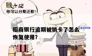 如何加盟嘉兴普洱茶？全面解决加盟流程、条件与支持等问题