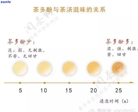 茶叶中茶多酚的含量-茶叶中茶多酚的含量是多少