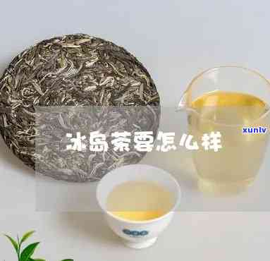 冰岛茶属于发酵茶吗-冰岛茶属于发酵茶吗为什么