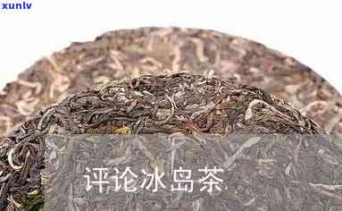 冰岛茶属于发酵茶吗-冰岛茶属于发酵茶吗为什么