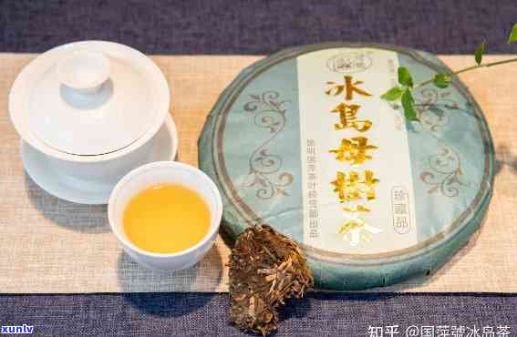 冰岛茶属于发酵茶吗-冰岛茶属于发酵茶吗为什么