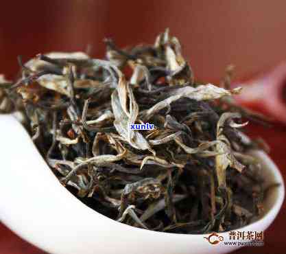 冰岛老茶属于什么茶-冰岛老茶属于什么茶类