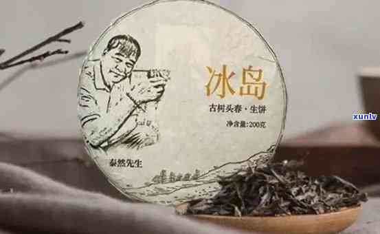 冰岛老树茶的特点，探索冰岛老树茶的独特特点