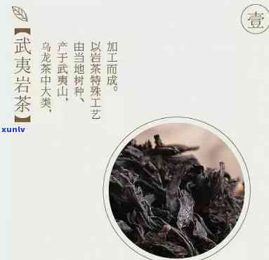 武夷山产什么茶叶？了解当地茗品！