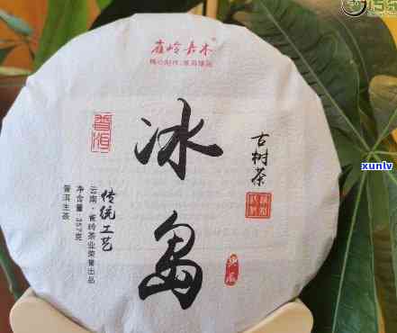 常喝冰岛纯料古树茶-常喝冰岛纯料古树茶好吗