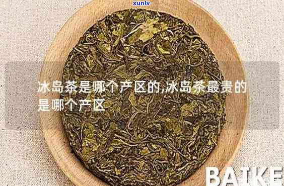 哪些茶属于冰岛茶系-哪些茶属于冰岛茶系列