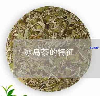 冰岛茶是什么茶种？详解其来源与特点