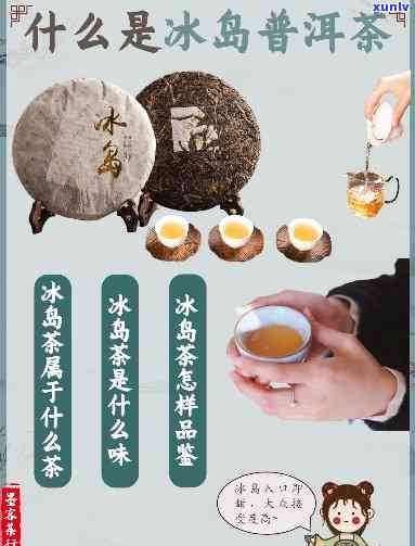 冰岛茶指的是什么茶-冰岛茶指的是什么茶叶