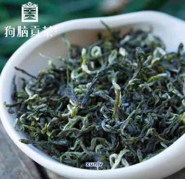 狗脑贡麒麟7号茶叶怎么样，探讨狗脑贡麒麟7号茶叶的口感与品质