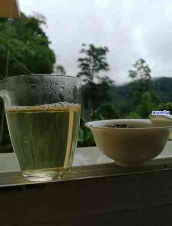 倚邦古树茶在哪个山头，探寻倚邦古树茶的源头：揭秘其所在山头