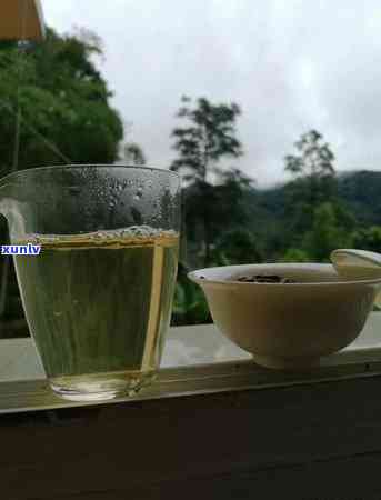 倚邦古树茶在哪个山头，探寻倚邦古树茶的源头：揭秘其所在山头