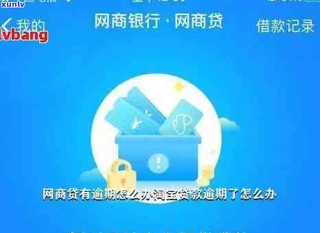 网商银行借钱逾期，网商银行借款逾期解决  及作用解析