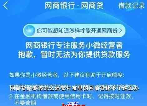 网商银行蓄卡逾期-网商银行蓄卡逾期怎么办