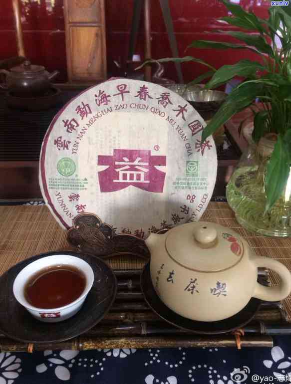 大益小白菜茶叶价格表：普洱茶最新价格、口感与200克规格一览