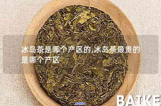 哪个茶和冰岛茶相近-哪个茶和冰岛茶相近呢