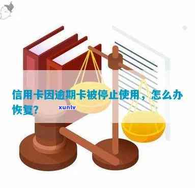 广发卡因逾期被停用：如何恢复使用、额度及重新申请？