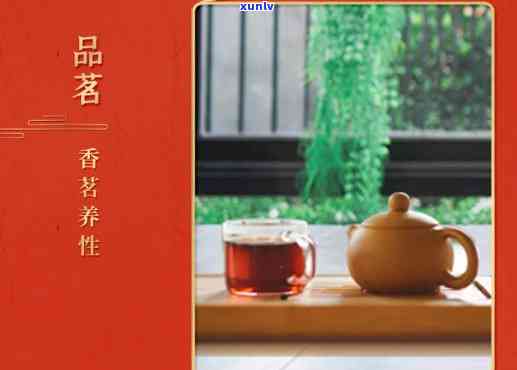 中茶金毫玉莲和大益岁月熟茶，品味双重享受：中茶金毫玉莲与大益岁月熟茶的魅力